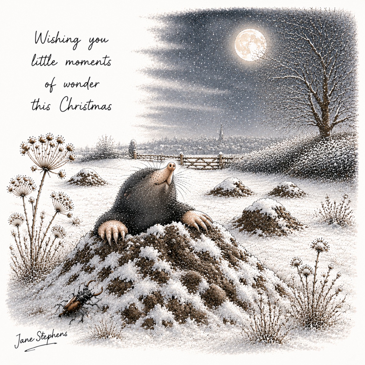 Jane Stephens Christmas card illustration of a mole under moon